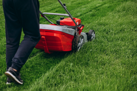 man pushing a red lawnmower on grass