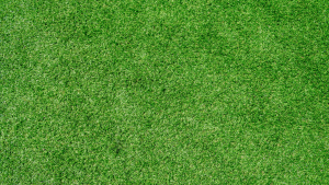 perceptions of artificial grass. Artificial grass that has been supplied by the modern lawn
